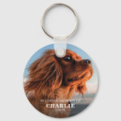 Porte-clés Photo du souvenir Animal de compagnie (Recto)