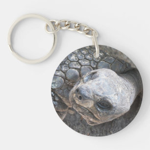 Porte-clés Photo d'un visage de tortue sur un porte - clé