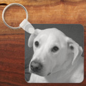 Porte-clés Photo en noir et blanc d'un beau chien à l'âne (Recto)