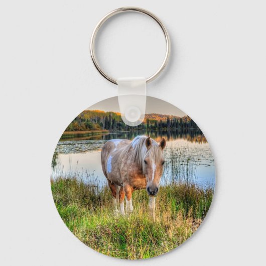 Porte-clés Photo équine Palomino Pinto Stallion pour amateurs (Recto)