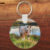 Porte-clés Photo équine Palomino Pinto Stallion pour amateurs (Recto)