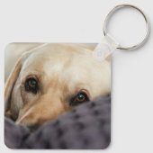 Porte-clés Photo et nom de l'animal personnalisé (Dos)