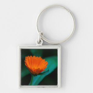 Porte-clés Photographie de fleur de marguerite orange