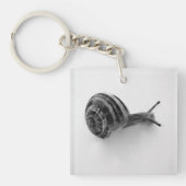 Porte-clés Photographie de la nature d'un escargot de jardin (Devant)