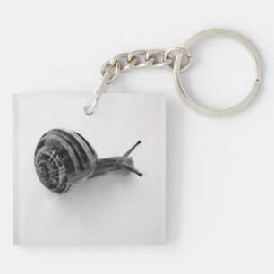 Porte-clés Photographie de la nature d'un escargot de jardin