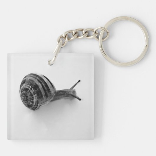 Porte-clés Photographie de la nature d'un escargot de jardin (Dos)