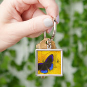 Porte-clés Photographie de papillon (main)