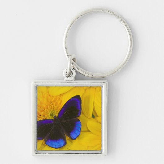 Porte-clés Photographie de papillon (Devant)