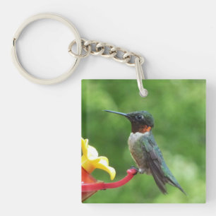 Porte-clés Photographie d'oiseau de colibri à gorge rubis