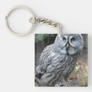 Porte-clés Photographie du portrait d'hibou