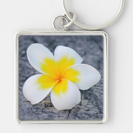 Porte-clés Photographie florale de frangipanier tropical (Devant)