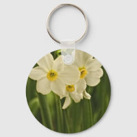 Photographie florale : Narcisse de printemps blanc