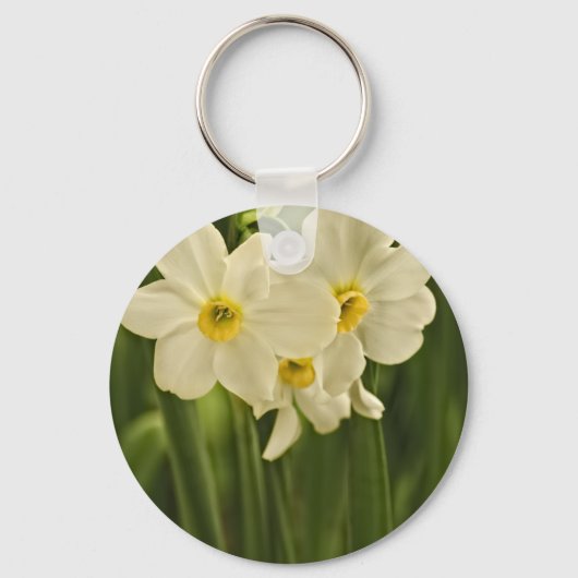 Porte-clés Photographie florale : Narcisse de printemps blanc (Recto)