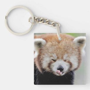 Porte-clés photographie porte - clé panda rouge.