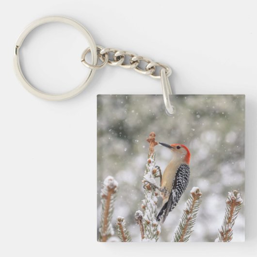 Porte-clés Pic à ventre rouge dans la neige (Devant)