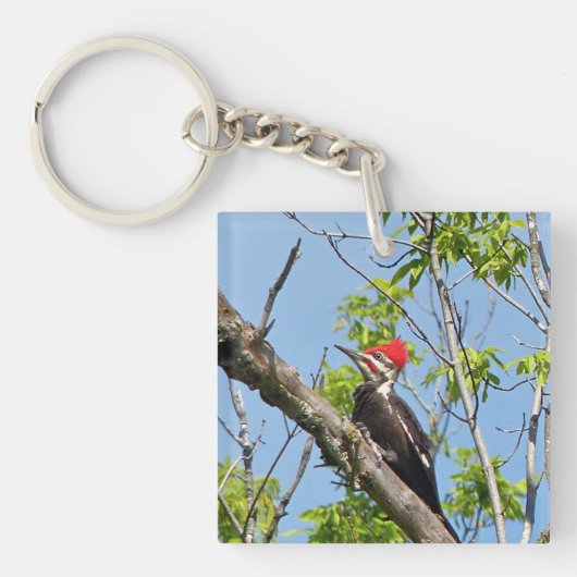Porte-clés Pic pilé (Devant)