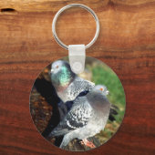 Porte-clés Pigeons Day Dream (Recto)