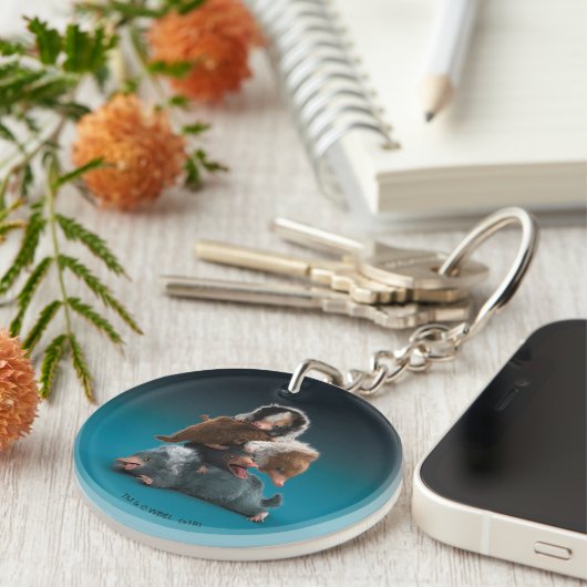 Porte-clés Pile bébé NIFFLER™ (Devant droit)