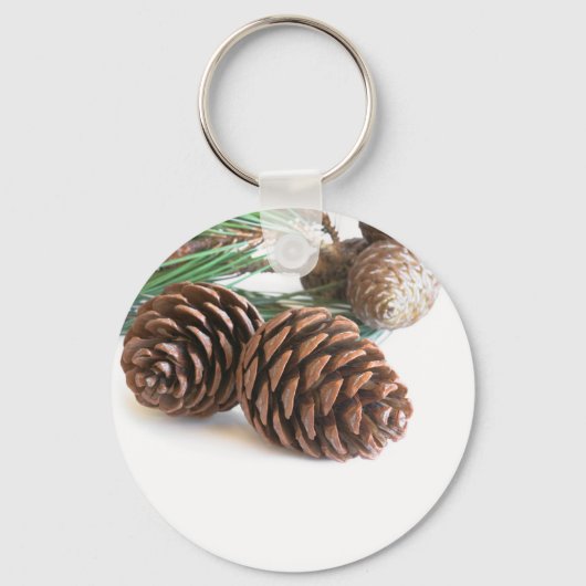 Porte-clés Pine branch and cones (Recto)