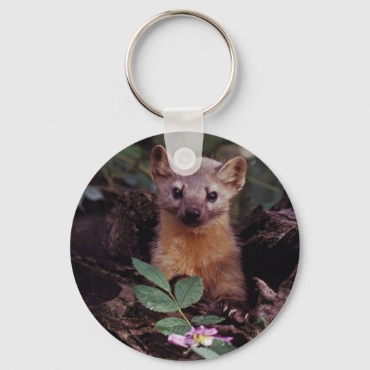 Porte-clés Pine Marten (Recto)