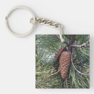 Porte-clés Pinecone sur le pin