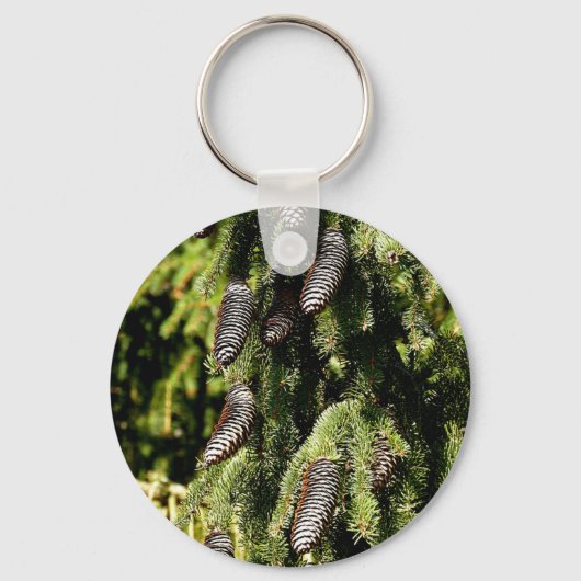Porte-clés Pinecones (Recto)