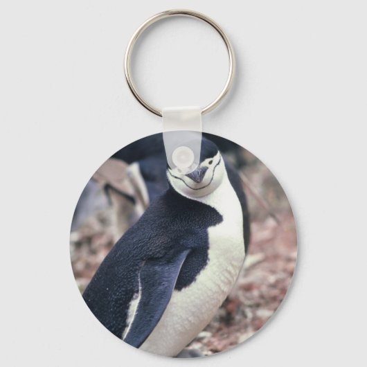 Porte-clés Pingouin à rayures avec bébé (Recto)