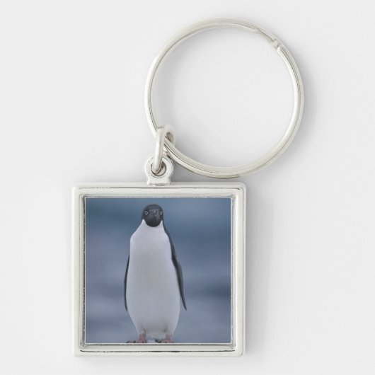 Porte-clés Pingouin d'Adelie sur la glace (Devant)