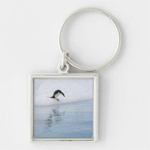 Porte-clés Pingouin de Gentoo (Pygoscelis Papouasie)