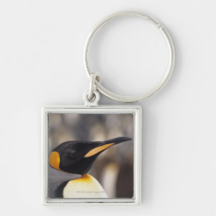 Porte-clés Pingouin de roi (patagonicus d'Aptenodytes)