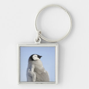 Porte-clés Pingouin d'empereur de bébé, île de colline de