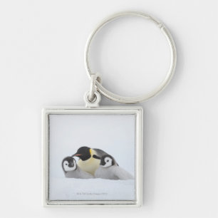 Porte-clés Pingouin d'empereur (forsteri d'Aptenodytes) 2