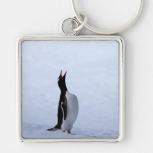 Porte-clés Pingouin Gentoo