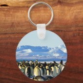 Porte-clés Pingouins empereurs (Recto)