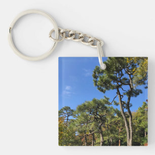 Porte-clés Pins dans le ciel d'automne