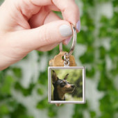 Porte-clés Pinscher miniature (Minute-Pin) (main)