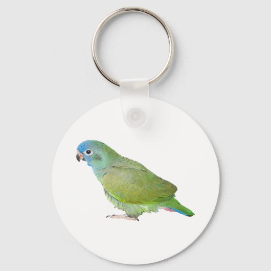 Porte-clés Pionus Parrot (Recto)