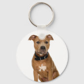 Porte-clés Pit Bull (Recto)