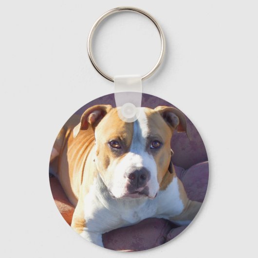 Porte-clés Pitbull (Recto)
