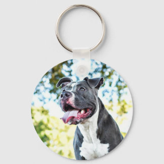 Porte-clés Pitbull