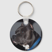 Porte-clés Pitbull (Recto)