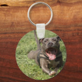 Porte-clés Pitbull dans l'herbe (Recto)
