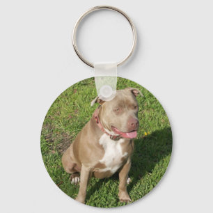 Porte-clés Pitbull paisible