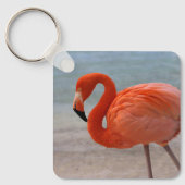 Porte-clés Plages tropicales | Flamant rose des Caraïbes, Aru (Recto)