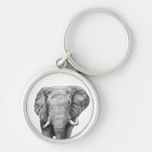 Porte-clés Plan de sauvegarde IV (Devant)