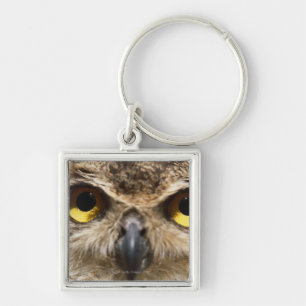 Porte-clés Plan rapproché de hibou