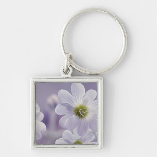 Porte-clés Plan rapproché des fleurs 2 (Devant)