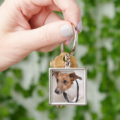 Porte-clés Plan rapproché d'un chien mettant sur une cravate (main)