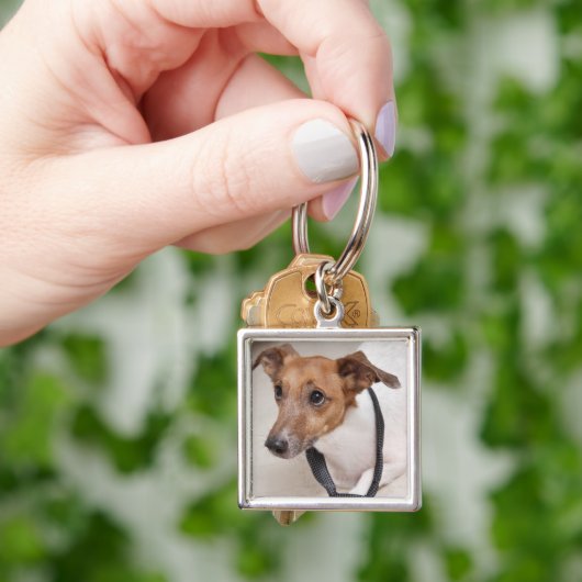 Porte-clés Plan rapproché d'un chien mettant sur une cravate (main)