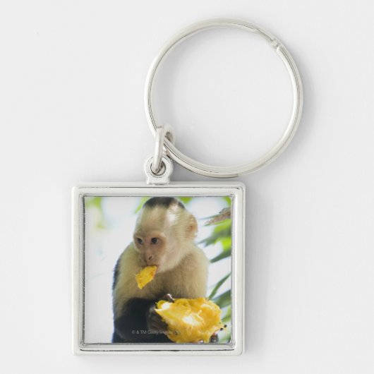 Porte-clés Plan rapproché d'un singe de capucin mangeant d'un (Devant)